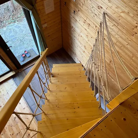 Conacul Lui Patrick Guest house Poenari