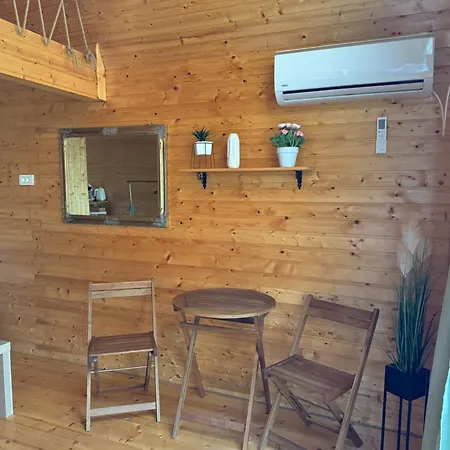 Conacul Lui Patrick Guest house