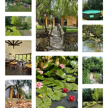 Guest house Conacul Lui Patrick