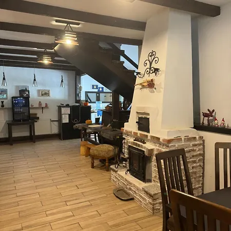 Conacul Lui Patrick Guest house