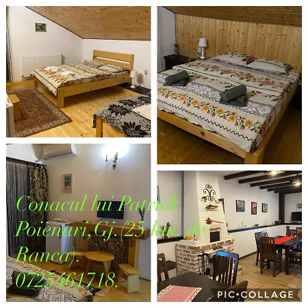 Guest house Conacul Lui Patrick