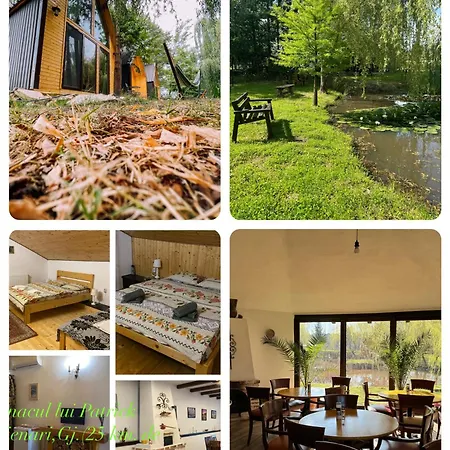 Conacul Lui Patrick Guest house Poenari