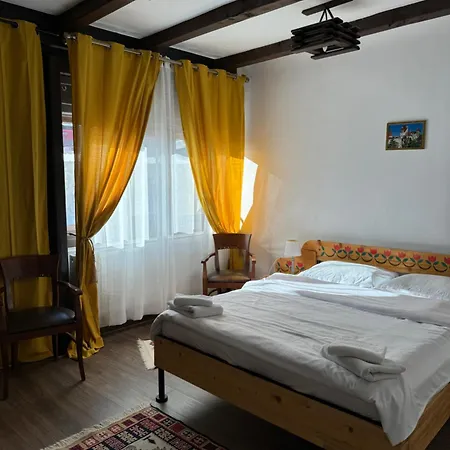 Conacul Lui Patrick Guest house