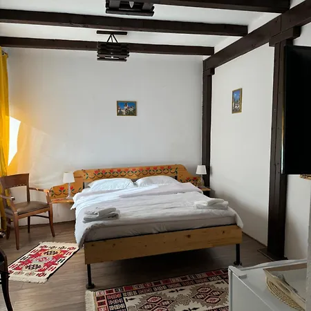 Guest house Conacul Lui Patrick Poenari
