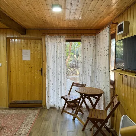 Conacul Lui Patrick Guest house