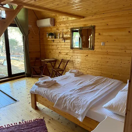 Guest house Conacul Lui Patrick *