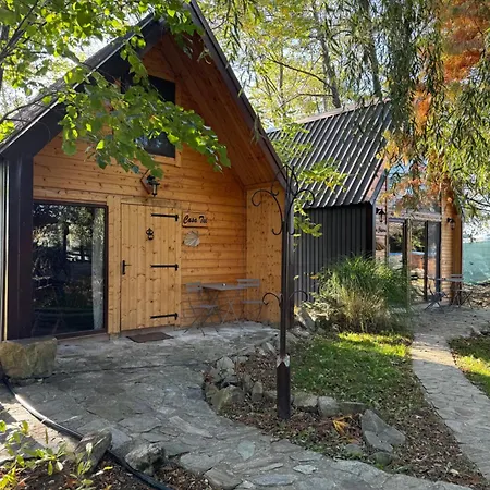 Conacul Lui Patrick Guest house Poenari