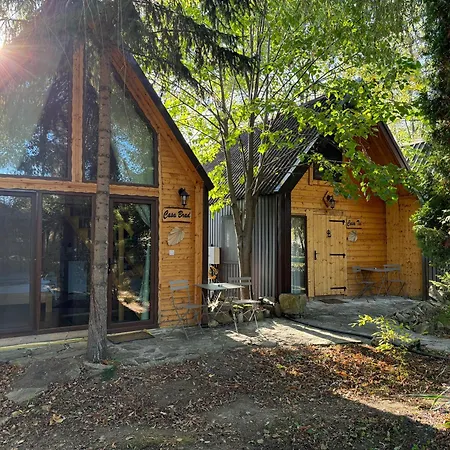 Conacul Lui Patrick Guest house