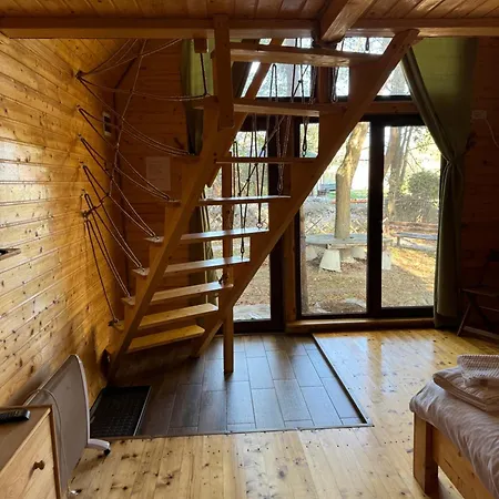 Conacul Lui Patrick Guest house