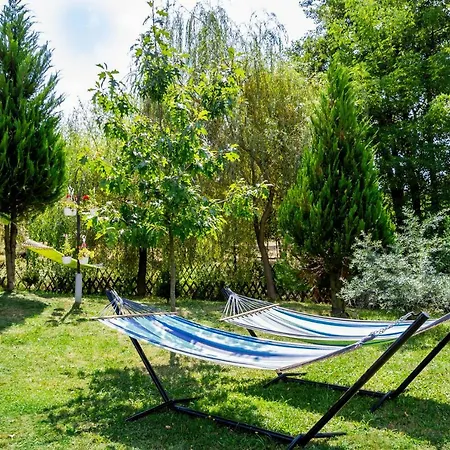 Conacul Lui Patrick Guest house Poenari